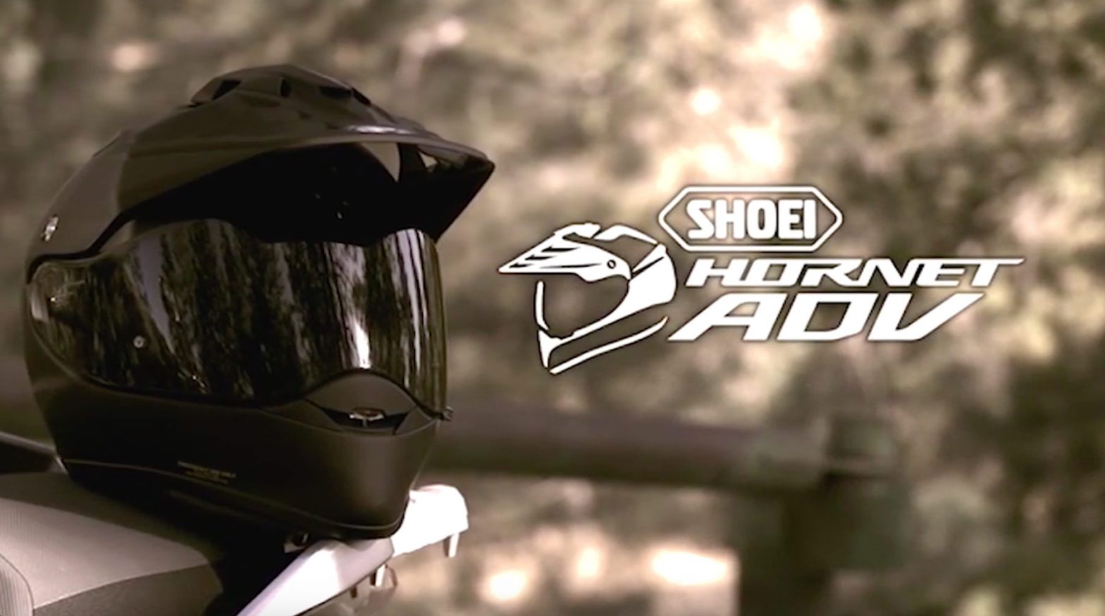 hornet-adv-shoei-cimettolatesta